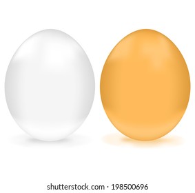 Brown and white eggs isolated on white background. See vector version