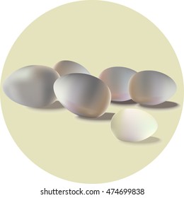 Brown and white eggs with reflection on white background, vector illustration