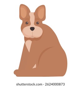 Brown and white french bulldog is sitting on the floor