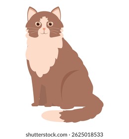 Gato peludo marrom e branco está sentado calmamente com a cauda enrolada em torno do seu corpo