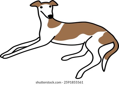 Brown and White Greyhound in a Calm Pose - Digital Pet Drawing