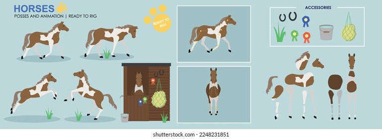 Brown and white Horse ready to animate with multiple poses accessories. Vector file labelled ready to rig. Horse riding, horse jumping, horses playing.	