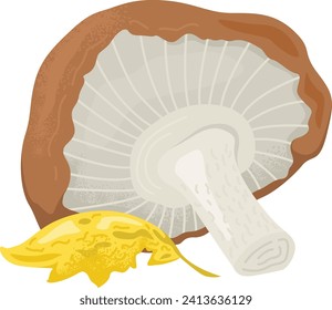 Brown and white mushroom with creamy spots and a leaf underneath. Autumn harvest and woodland theme vector illustration.