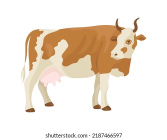 Brown and white spotted cow. Livestock. Vector illustration isolated on a white background.