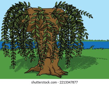 Brown Willow Tree with Long Twigs with Green Leaves - Colored Cartoon Illustration with Background, Vector