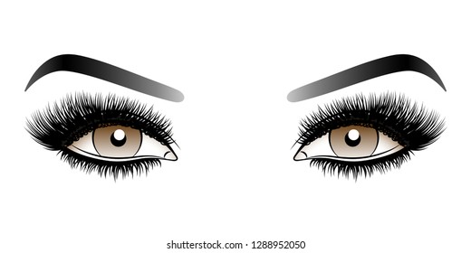 Brown woman eyes with long false lashes with eyebrows.
Vector illustration isolated on white background. Ink drawing. Eye makeup.