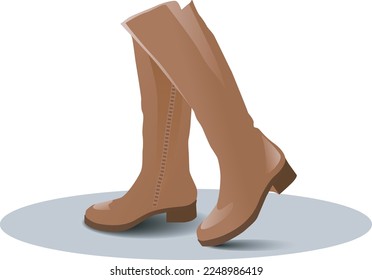 Brown women's knee high boots with low heels on a white background, eps 10