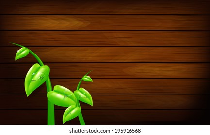Brown wood background texture vector