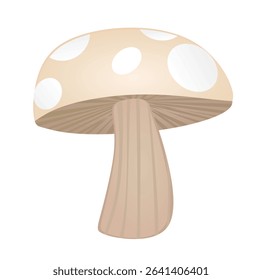 Brown wood mushroom. vector illustration	
