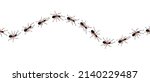 Brown worker ants trail line flat style design vector illustration isolated on white background. Top view of ants bug road trail marching in the line row. Pest control or insect searching concept.