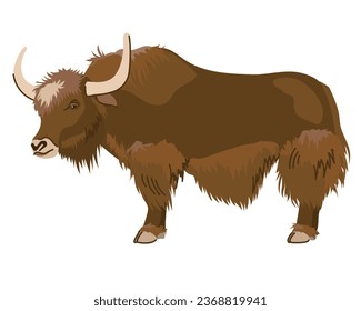 A brown yak with a long coat. A pet in Nepal and Tibet. Vector, cartoon style. Dairy cattle, big cow.