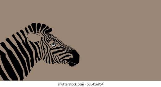 Brown zebra.