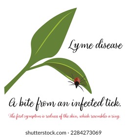 A brown-black tick on a green leaf and the text Lyme Disease. White background.