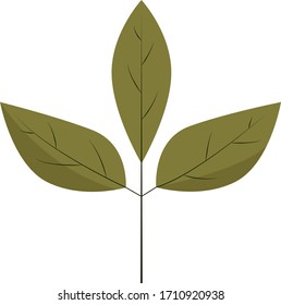 Brown-green leaf, vector art on a white background