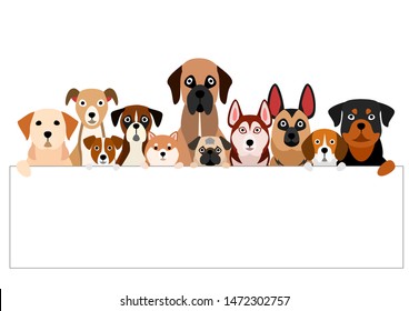 brownish dogs group with white board