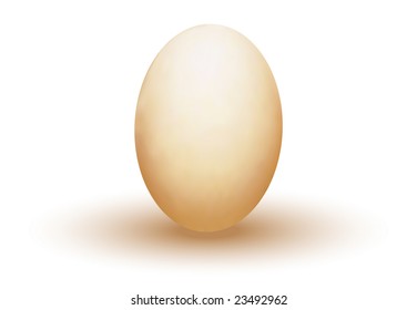 Brownish Egg (Vector)
