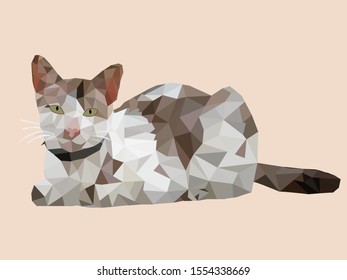 A brown-white cat in low poly style, on the pastel background.
