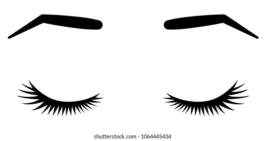 Brows and lashes. Vector illustration of lashes and brows. For beauty salon, lash extensions maker, brow master. Closed woman eyes.