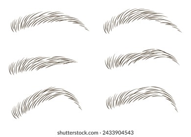 Brows set vector illustration design. Different shapes and types. Various eyebrow collection.
