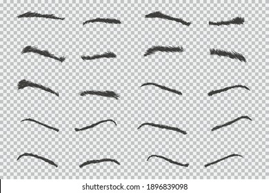 Brows types vector icons set isolated on transparent background.