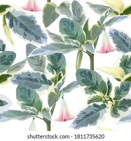 Brugmansia angel trumpet beautiful seamless pattern design pink flower and variegated foliage on a white background, high quality detailed illustration.