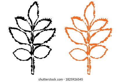 Brunch de feuilles de frêne, illustration vectorielle.