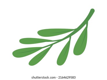 Brunch with leaves. Vector illustration