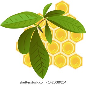 A Brunch of tea and a honeycomb vector illustration on a white background isolated