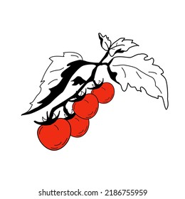 Brunch de tomate aislado sobre fondo blanco al estilo de doodle. Esbozo vectorial de verduras