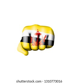 Brunei flag and hand on white background. Vector illustration