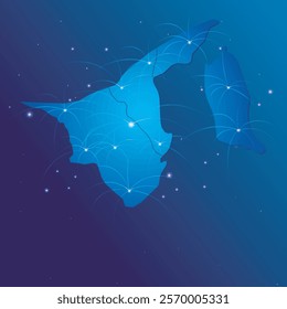 Brunei map world internet network
