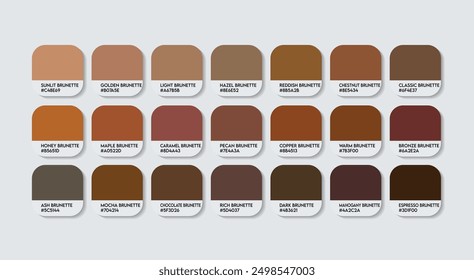 Brunette Color Palette, Brunette Color Guide Palette with Color Names. Catalog Samples of the Brown with RGB HEX codes and Names. Wood Color Palette Vector, Water-based paint Colors and Fashion Trend