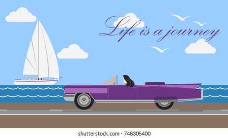 Brunette girl driving flat design vector illustration