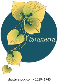 Brunnera, plant,  leaves