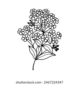 Brunner's flowers. Vector stock illustration eps10. Isolate on a white background, outline. Hand drawing.