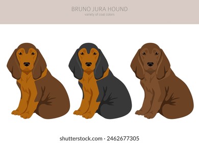 Bruno Jura hound puppy clipart. Different coat colors and poses set.  Vector illustration