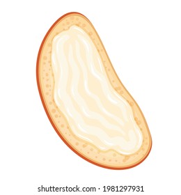 Bruschetta. Summer white bread sandwich with butter. Healthy breakfast. Vector illustration isolated on white background.