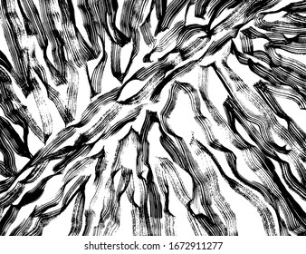 Brush abstract pattern. Grunge texture. Background. White and black vector.