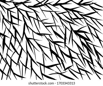 Brush abstract pattern. Grunge texture. Background. White and black vector.