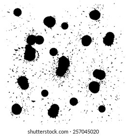 Brush blot vector on white background. Vector illustration. 
