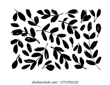 Brush branches with leaves vector collection. Set of black silhouettes leaves and branches. Hand drawn eucalyptus foliage, herbs, tree twig. Vector ink elements isolated on white background. 