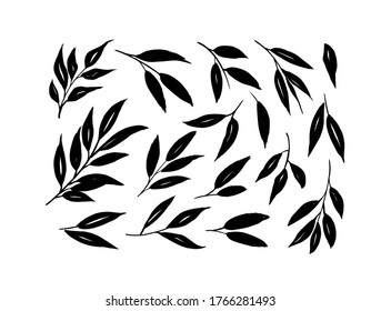 Brush branches with long leaves vector collection. Set of black silhouettes leaves and branches. Hand drawn eucalyptus foliage, herbs, tree twig. Vector ink elements isolated on white background. 