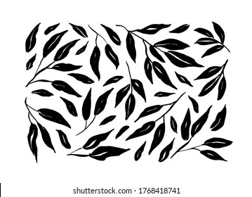 Brush branches with long leaves vector collection. Set of black silhouettes leaves and branches. Hand drawn eucalyptus foliage, herbs, tree twig. Vector ink elements isolated on white background. 