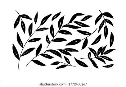 Brush branches with long leaves vector collection. Set of black silhouettes leaves and branches. Hand drawn eucalyptus foliage, herbs, tree twig. Vector ink elements isolated on white background. 