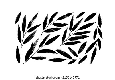 Brush branches with long leaves vector collection. Hand drawn eucalyptus foliage, herbs, tree branches. Modern brush ink illustration. Set of black silhouettes leaves isolated on white background.