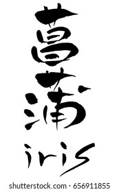 Brush character iris and Japanese text iris