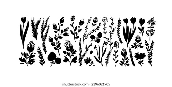 Juego de vectores de flores silvestres dibujadas con pincel. Hierbas silvestres, hojas, tallos y ramas dibujadas a mano. Colección de elementos negros botánicos. Ilustración en blanco y negro de diferentes flores pequeñas. Plantas médicas.