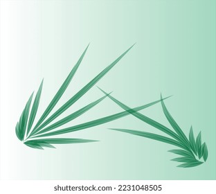brush flower background for wallpaper and theme