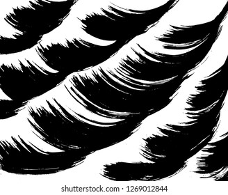 Brush grunge pattern. White and black vector.