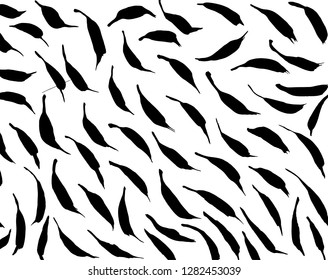 Brush grunge pattern. White and black vector.
